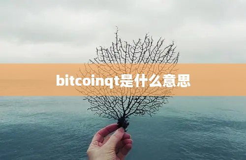 bitcoinqt是什么意思